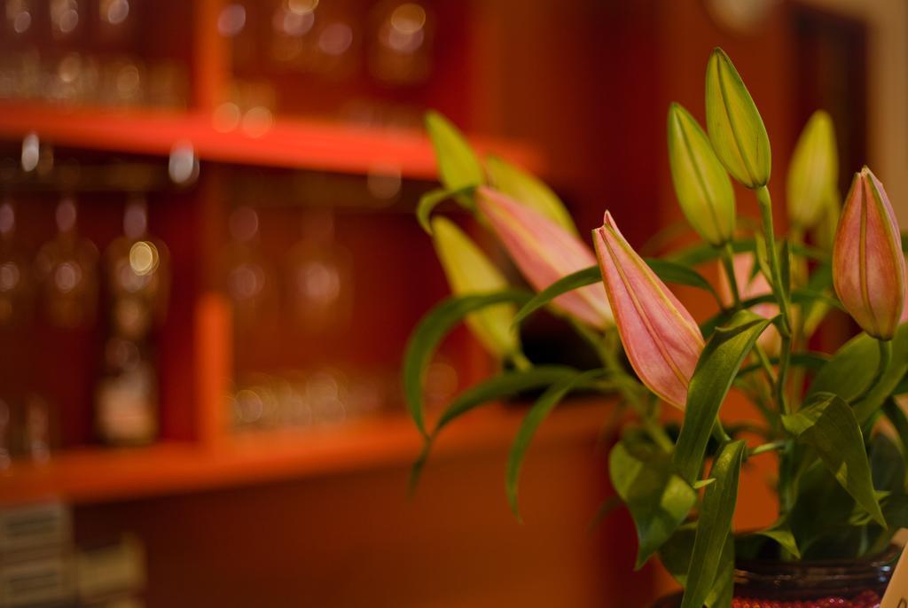 花莲市 东城商旅酒店 外观 照片